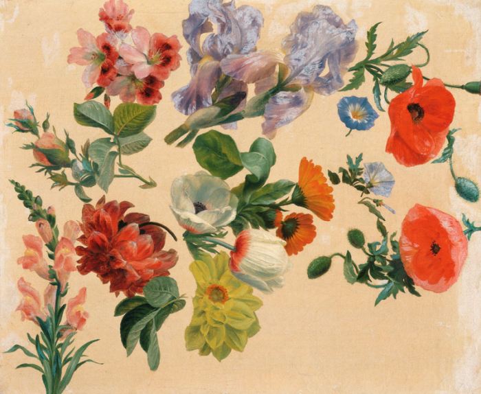 Studies of Summer Flowers from 