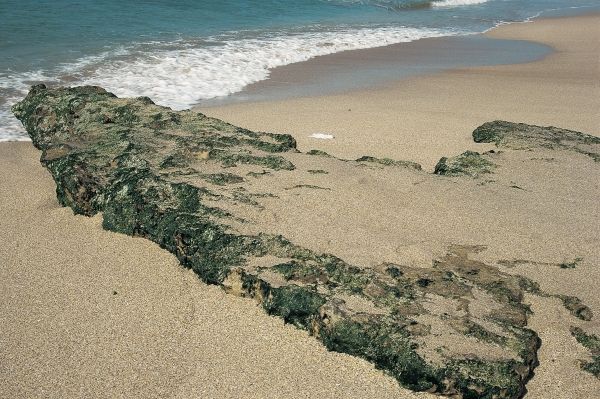 Sand surface near Porbundar (photo)  from 