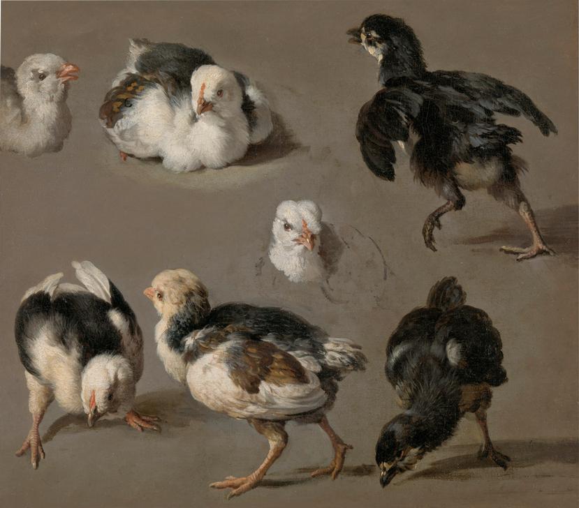 Seven Chicks from 