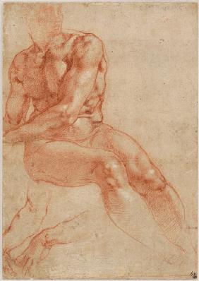 Seated Young Male Nude and Two Arm Studies
