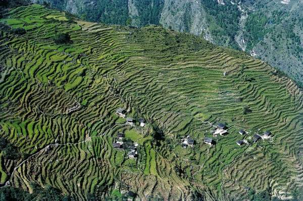 Step-fields north of Kathmandu (photo)  from 