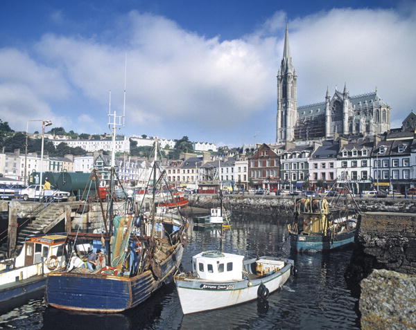 View of the harbour with St. Colemans Cathedral (photo)  from 