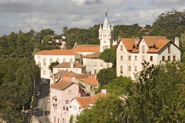 View of the town (photo)  from 