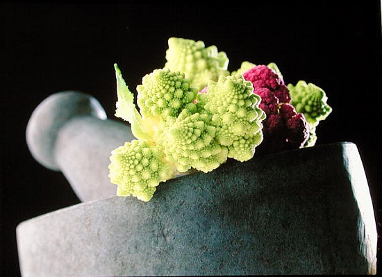 Romanescu in granite pestle & mortar, 2001 (colour photo)  from Norman  Hollands