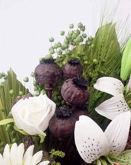 Seed pod Bouquet, 1999 (colour photo)  from Norman  Hollands