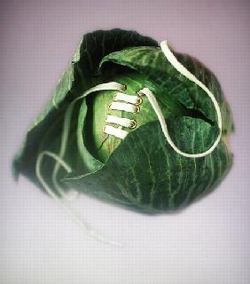 Cabbage with laces, 2000 (colour photo) 