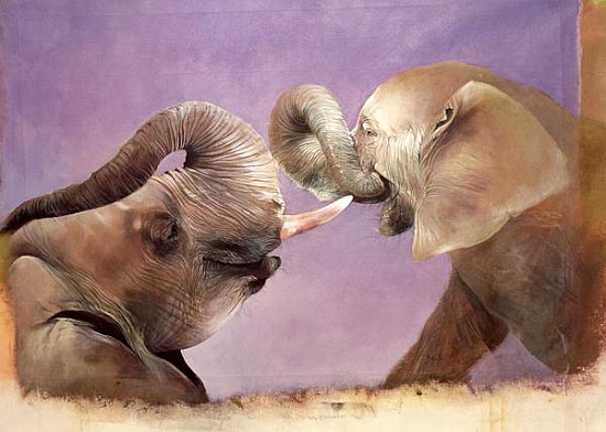 Elephants at Play, 2001 (acrylic on canvas)  from Odile  Kidd