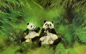 Pandas, 1998 (acrylic and pencil on canvas) 