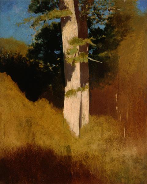 Tree with Blue Sky (oil on paper laid on panel)