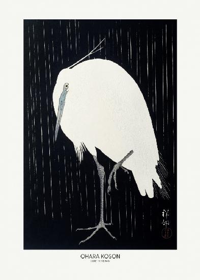 Egret In The Rain