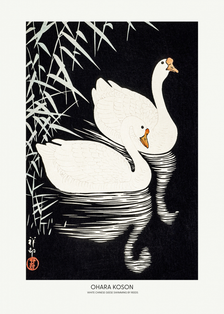 White Chinese Geese Swimming by Reeds from Ohara Shôson