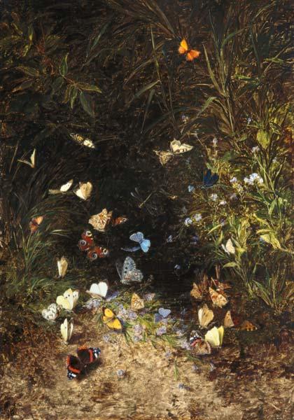 Meadow with coloured butterflies