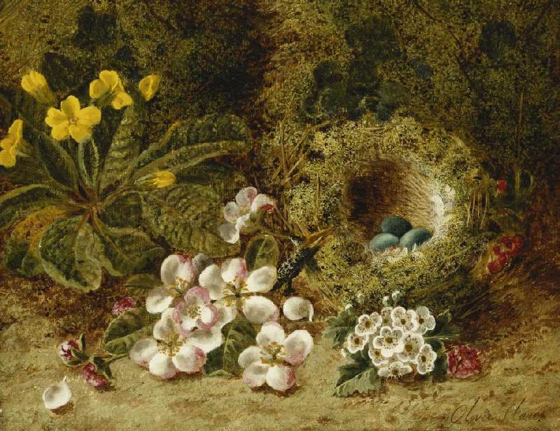 Apfelblüten, eine Primel und ein Vogelnest im Moos. from Oliver Clare