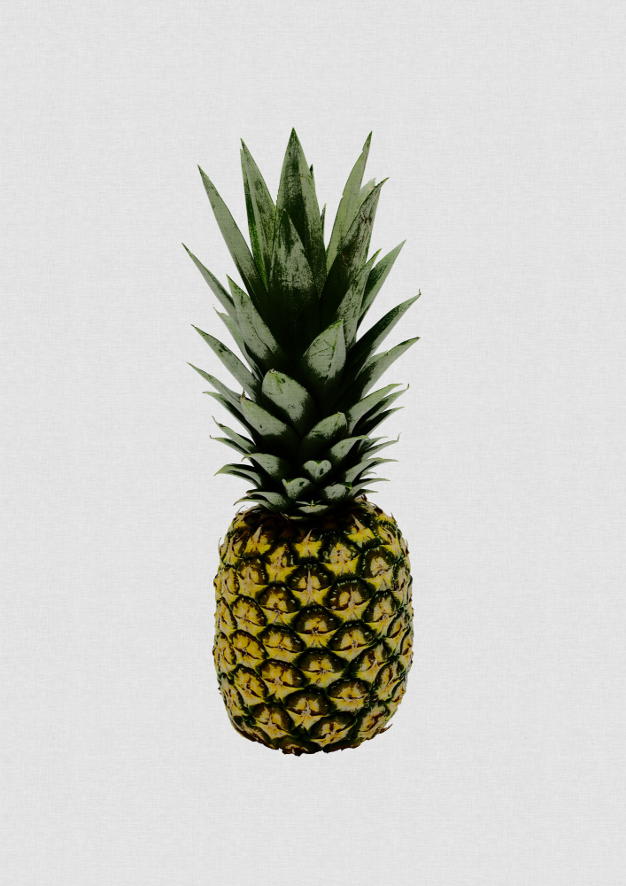 Pineapple from Orara Studio