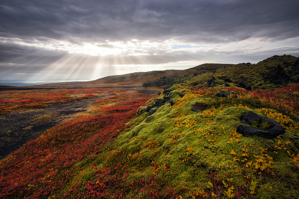 Light and colors of Autumn from Þorsteinn H. Ingibergsson