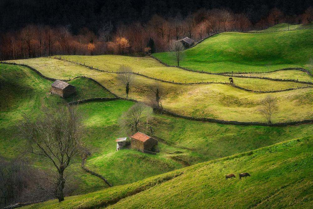Rural Life from Oskar Baglietto