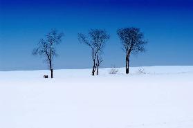 Winterlandschaft 1