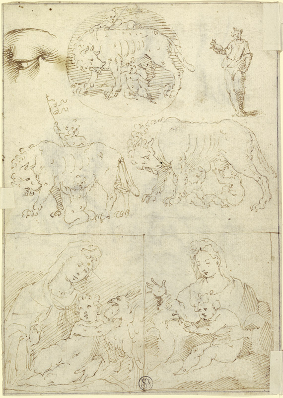 Studienblatt: Wölfin mit Romulus und Remus sowie Madonna from Parmigianino