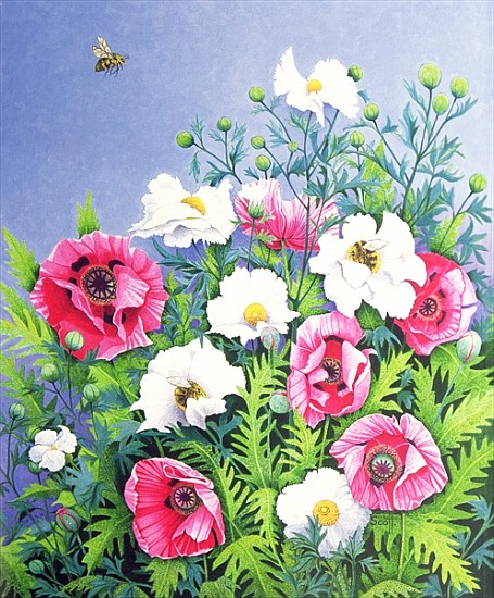 Honey Bee, Honey Bee (oil on canvas)  from Pat  Scott