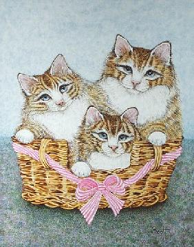 Sister Kittens (oil on canvas) 