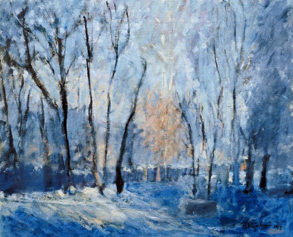 Snow in the Garden, 1993  from Patricia  Espir