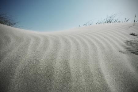 Sandwaves...