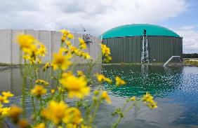 Biogasanlage in Turnow