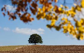 Landschaft der Uckermark