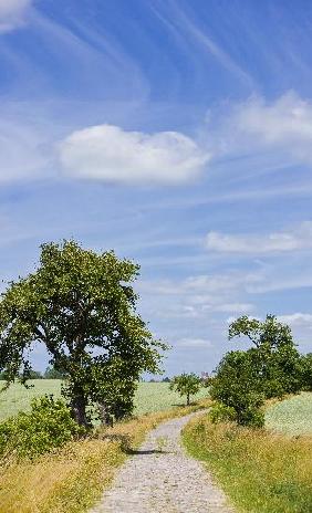 Landschaft der Uckermark in Brandenburg