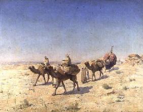A Camel Train