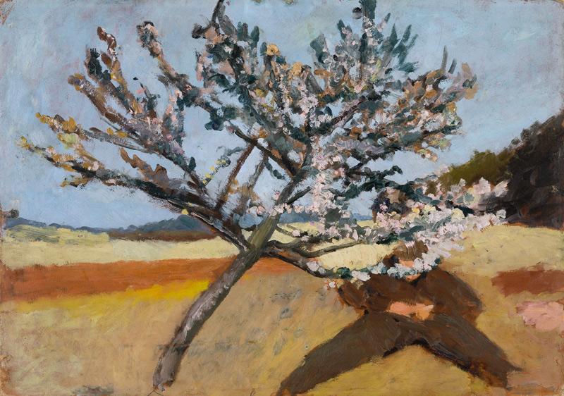 Man lying beneath a Blossoming Tree from Paula Modersohn-Becker