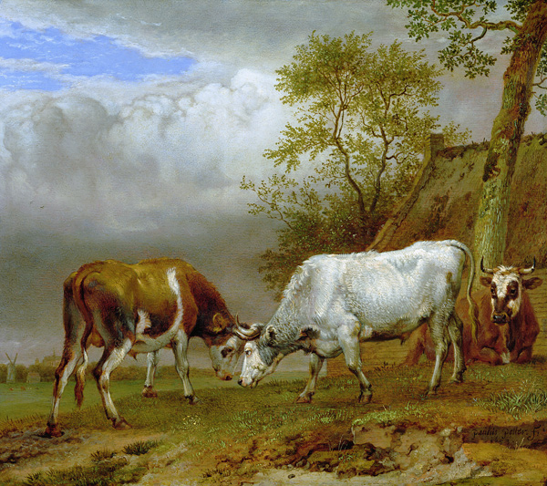 Two Bulls with Locked Horns from Paulus Potter