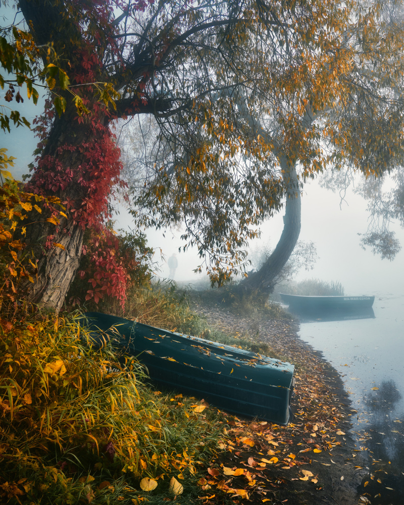 Autumn melancholy from Pawel Kado