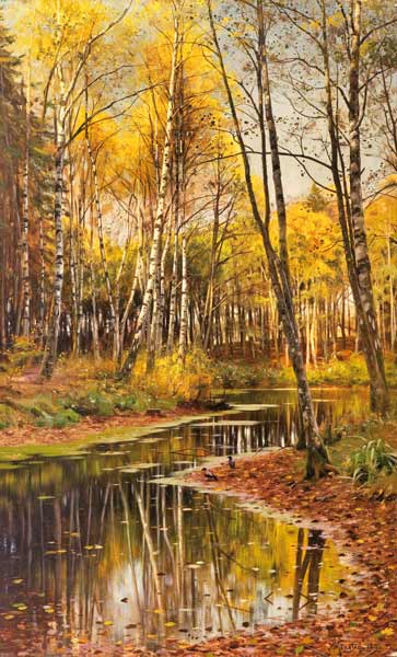 Birch Forest in the Autumn Light from Peder Moensted