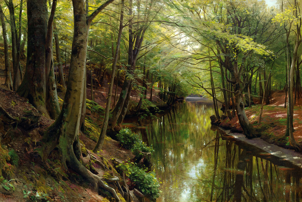 Gewässer in einem Wald from Peder Moensted