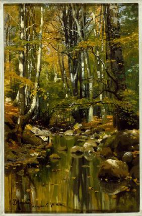 Forest Stream in Late Summer