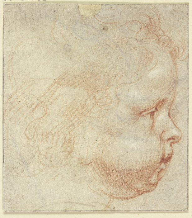 Kinderkopf im Profil nach rechts from Peter Paul Rubens