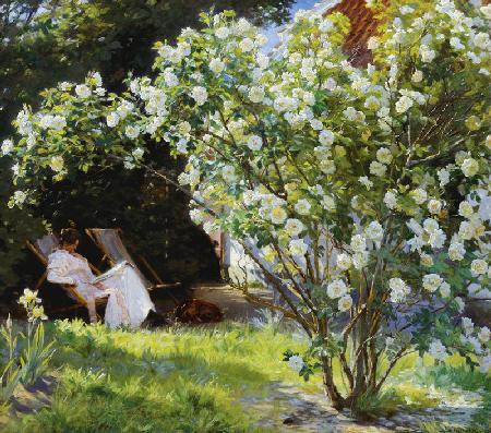 Roses, or The Artist's Wife in the Garden at Skagen