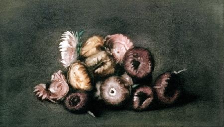 Still Life of Dried Flowers (coloured mezzotint)