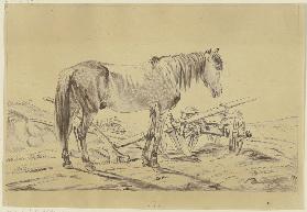 Horse with plow