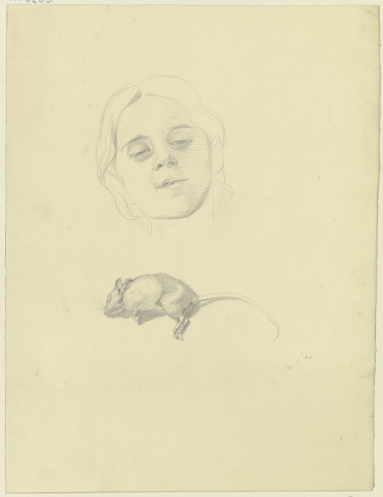 Bildnis eines Mädchens, darunter eine tote Maus from Philipp Winterwerb