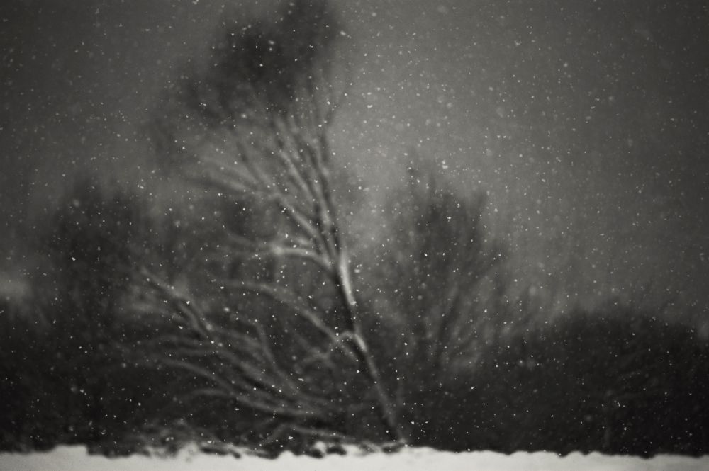 Winter from PhotoCosma