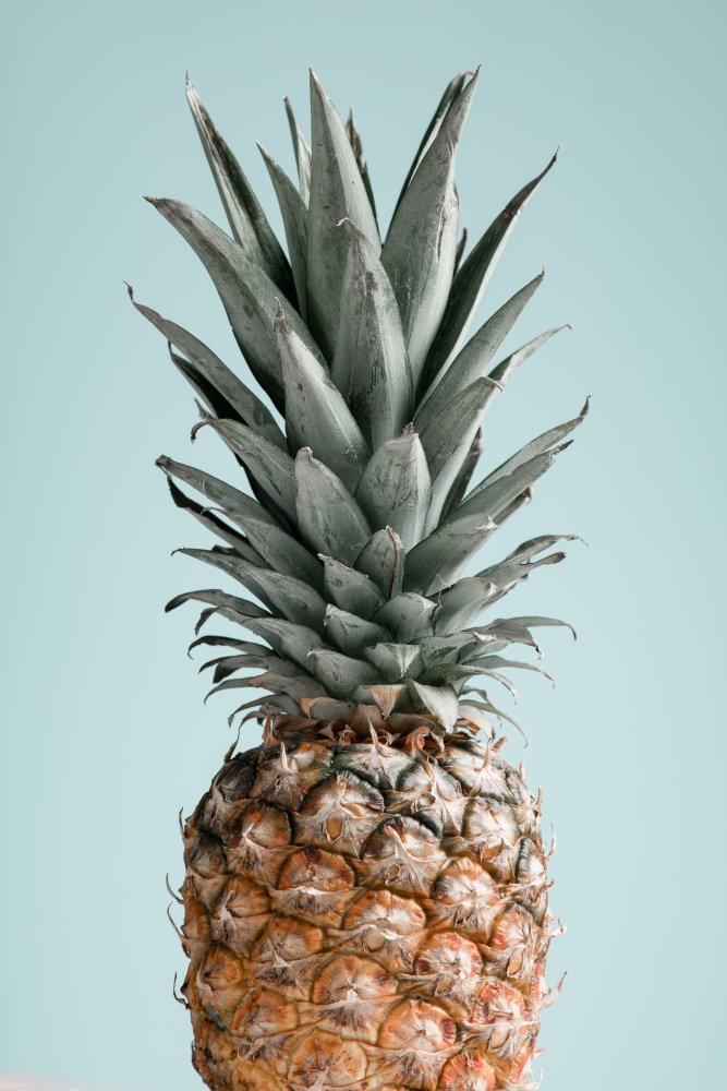 Pineapple Blue 01 from Pictufy Studio III