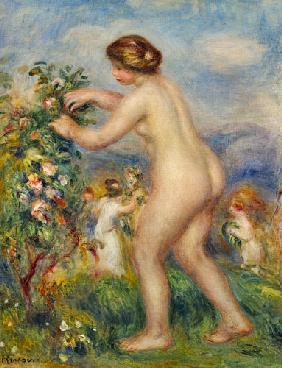 Naked young woman in landscape.
