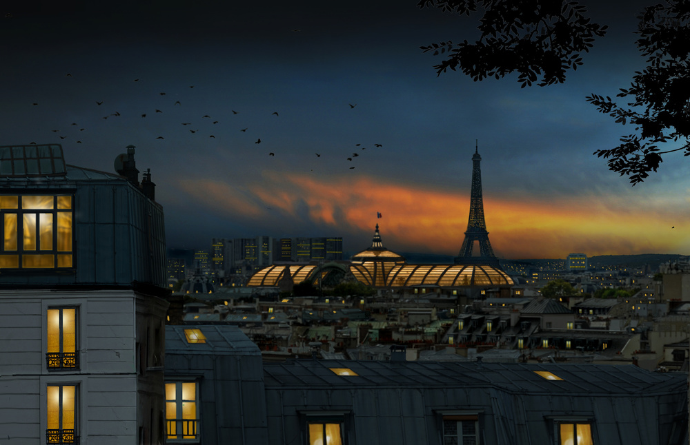 roofs of Paris at blue hour from Pierre Bacus