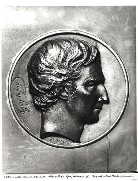 Louis Joseph Gay-Lussac (1778-1850) from Pierre Jean David d'Angers