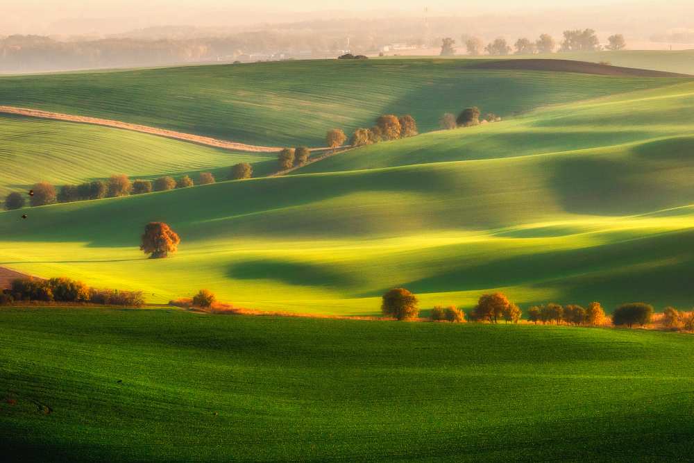 Green fields from Piotr Krol (Bax)