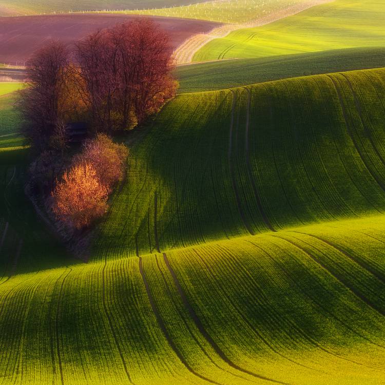Green fields from Piotr Krol (Bax)