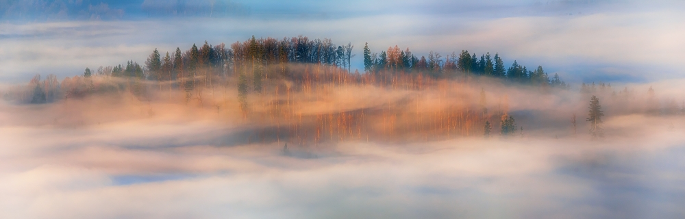 in the morning mists from Piotr Krol (Bax)