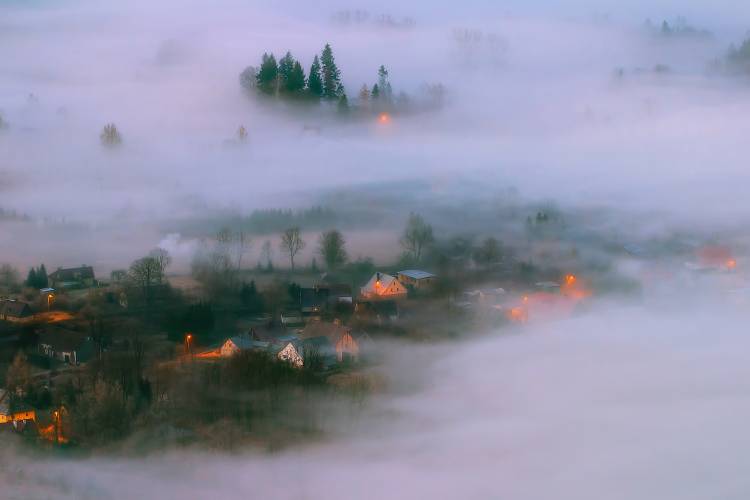 In the Morning Fog from Piotr Krol (Bax)